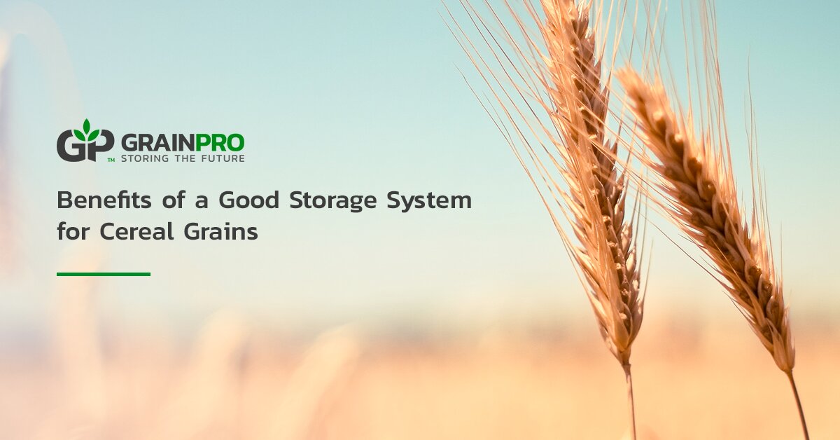 Benefits of a Good Storage System for Cereal Grains